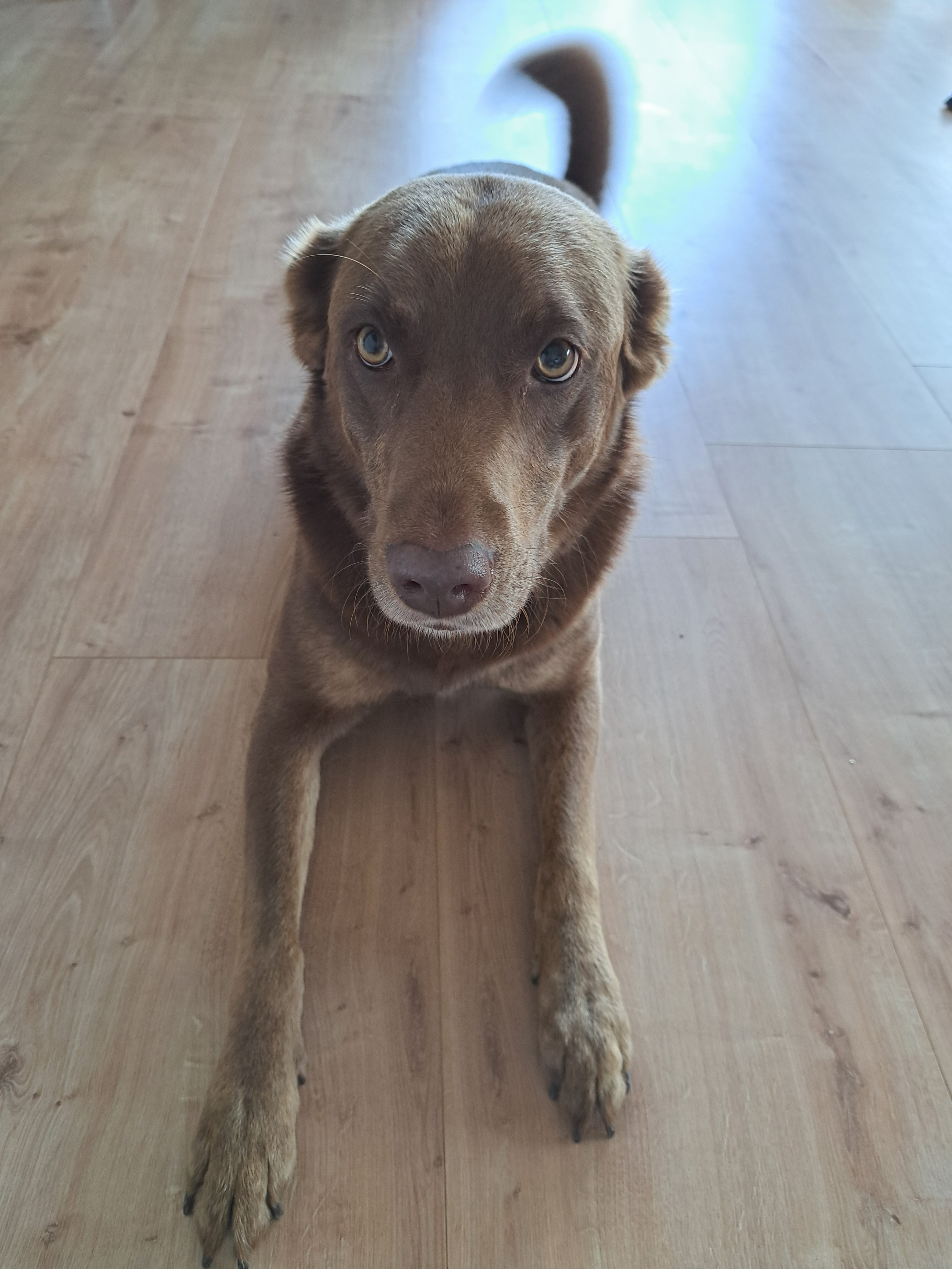 Nelly_1000084940.jpg